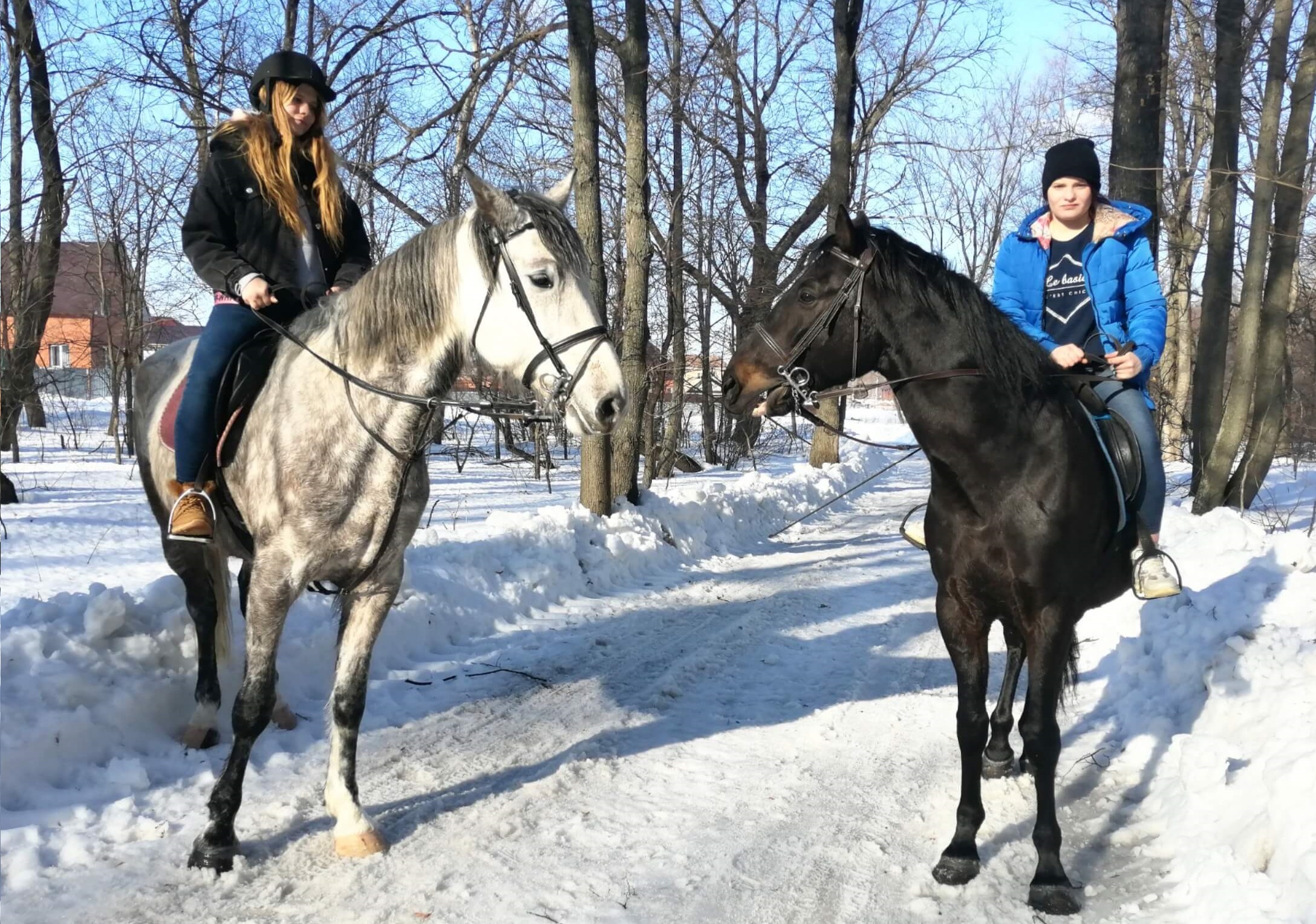 Прогулка на лошадях в Уфе