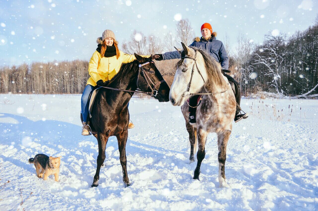 Зимняя прогулка на лошадях