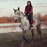 Конная прогулка для двоих в Уфе. Подарочные сертификаты Ultra Подарки. Купить оригинальный подарок или подарочный сертификат на Конная прогулка для двоих в Уфе. Сервис UltraPodarki.ru 8-800-505-9530. Катание на лошадях, Прогулка на лошади, Прогулка на лошадях для двоих, Конная прогулка для двоих, конный клуб, Конный клуб Гиппа, конная прогулка, конная прогулка в Уфе